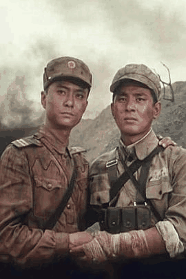 尘落电影网_《兄弟之情》电影海报在线看